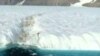 Greenland Ice Island Prompts Global Warming Debate