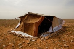 The tent of Abu Jakka Farhan, a truffle hunter, sits in the desert in Samawa, Iraq, February 23, 2021. (Reuters Photo/Alaa Al-Marjani)