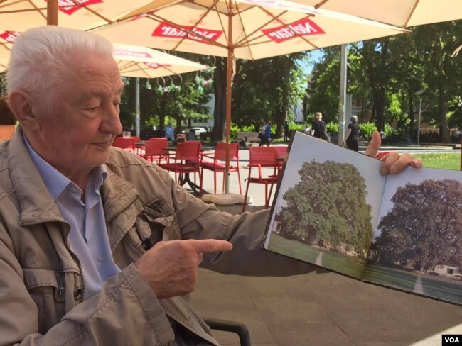 Tihomir Levajac, penzionisani profesor banjalučke Gimnazije pokazuje kako je nekad izgledao Stari hrast, 12.6.2021., Banja Luka