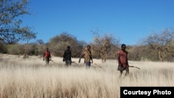The Hadza people of Tanzania wore wristwatches with GPS trackers that followed their movements while hunting or foraging. Data showed that humans join a variety of other species including sharks and honeybees in using a Lévy walk pattern while foraging. (