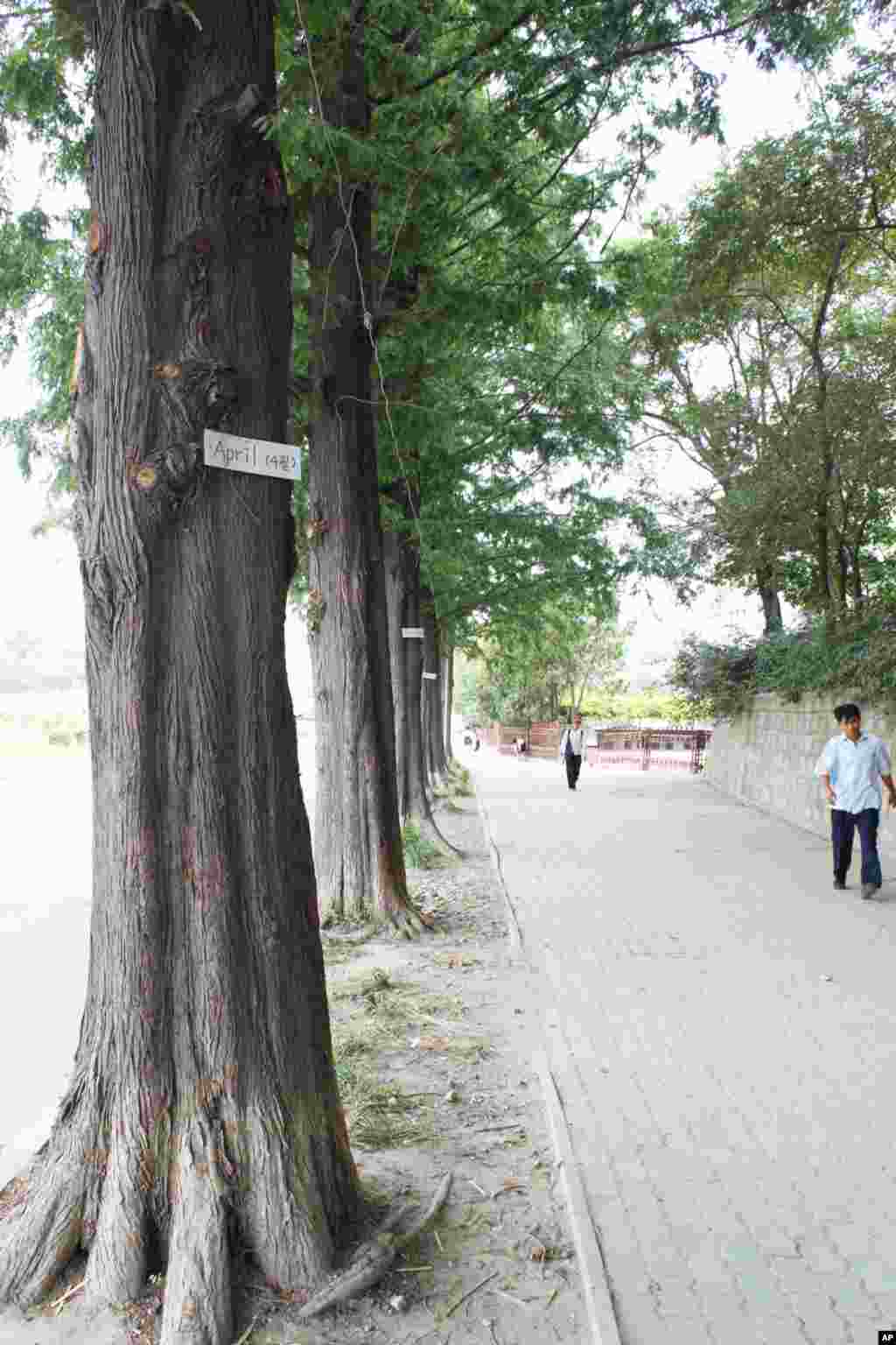 English language learning is booming among North Korean school children. An English word is posted on a street tree. (Sungwon Baik/VOA)