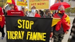 Several hundred people join a march in Washington on Nov. 4, 2021, to protest the Ethiopian government on the first anniversary of its war against forces in the country's northern region of Tigray. (Sara Fissehaye/VOA)