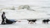 Iditarod Officials Change Route of Famed Alaska Sled-dog Race
