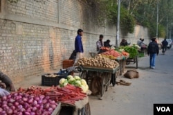 Fruit and vegetable vendors wait for customers in New Delhi, India. (Photo: A. Pasricha / VOA)