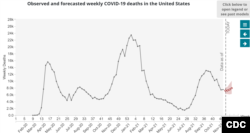 Офіційний прогноз CDC щодо смертності від коронавірусу у США