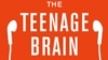 Quiz - Understanding the Teen Brain