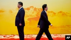 Japan's Prime Minister Shinzo Abe (R) walks past Chinese President Xi Jinping during a welcome ceremony for the Asia-Pacific Economic Cooperation (APEC) summit at the International Convention Center in Yanqi Lake, Beijing, China.