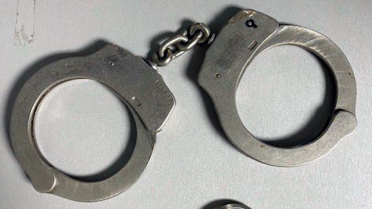 Zimbabwe Police Arrest Suspects After Failed Bloody Harare Robbery - Vimarsana News