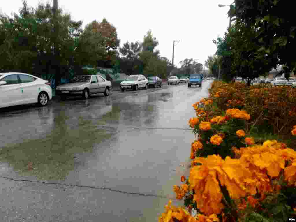اولین باران پاییزی در فیروزاباد فارس عکس: بهبود وکیلی (ارسالی شما) 