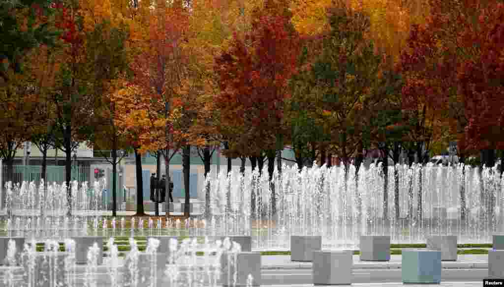 Autumnal trees are pictured near the Chancellery, in Berlin, Germany.