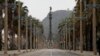 Las calles de las principales ciudades del mundo siguen desiertas debido a las medidas para frenar la expansión del coronavirus. En la foto, el Paseo de Colón en Barcelona.