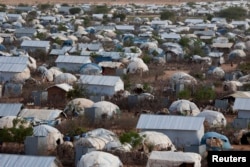 Dadaab refugee camp in Kenya.