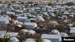 Une vue aérienne montre une extension du camp d'Ifo, l'une des nombreuses colonies de réfugiés à Dadaab, dans le comté de Garissa, au nord-est du Kenya, le 7 octobre 2013.