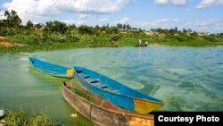 Le lac Victoria, le plus grand lac d'Afrique, est bordé par le Kenya au nord-est, l'Ouganda au nord et au nord-ouest (photo) et la Tanzanie au sud, sud-ouest et sud-est.