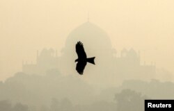 A bird flies past the Humayun's Tomb shrouded in smog in New Delhi, India, Oct. 29, 2018.