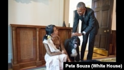 President Barack Obama and Aung San Suu Kyi, State Counsellor and Minister of Foreign Affairs of Myanmar, visit with Obama family pets Bo and Sunny in the Cabinet Room of the White House following their bilateral meeting, Sept. 14, 2016.