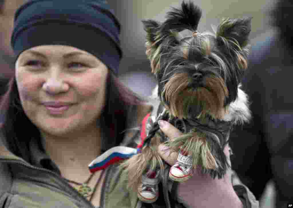 A woman holds a dog sporting shoes and a ribbon in the colors of the Russian flag outside the regional parliament building in Simferopol, Crimea, Ukraine, March 12, 2014.