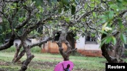 Un garçon déplacé interne marche avec un parapluie sous la pluie à Bambari, en République centrafricaine, le 17 octobre 2015.