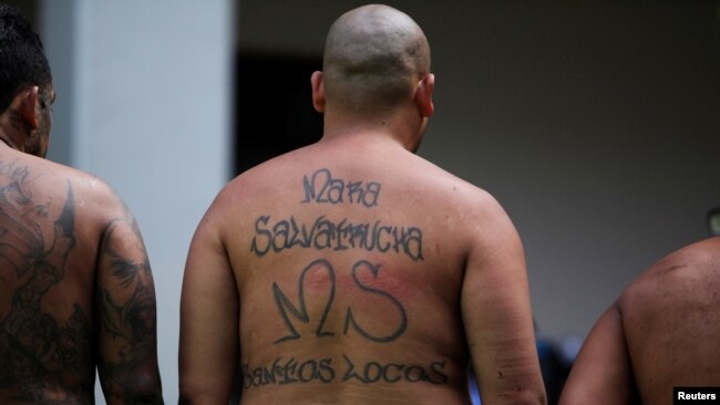 La Mara Salvatrucha es una de las más temidas y grandes en El Salvador y cuenta con estructuras en otros países de la región, incluidos México y Estados Unidos.