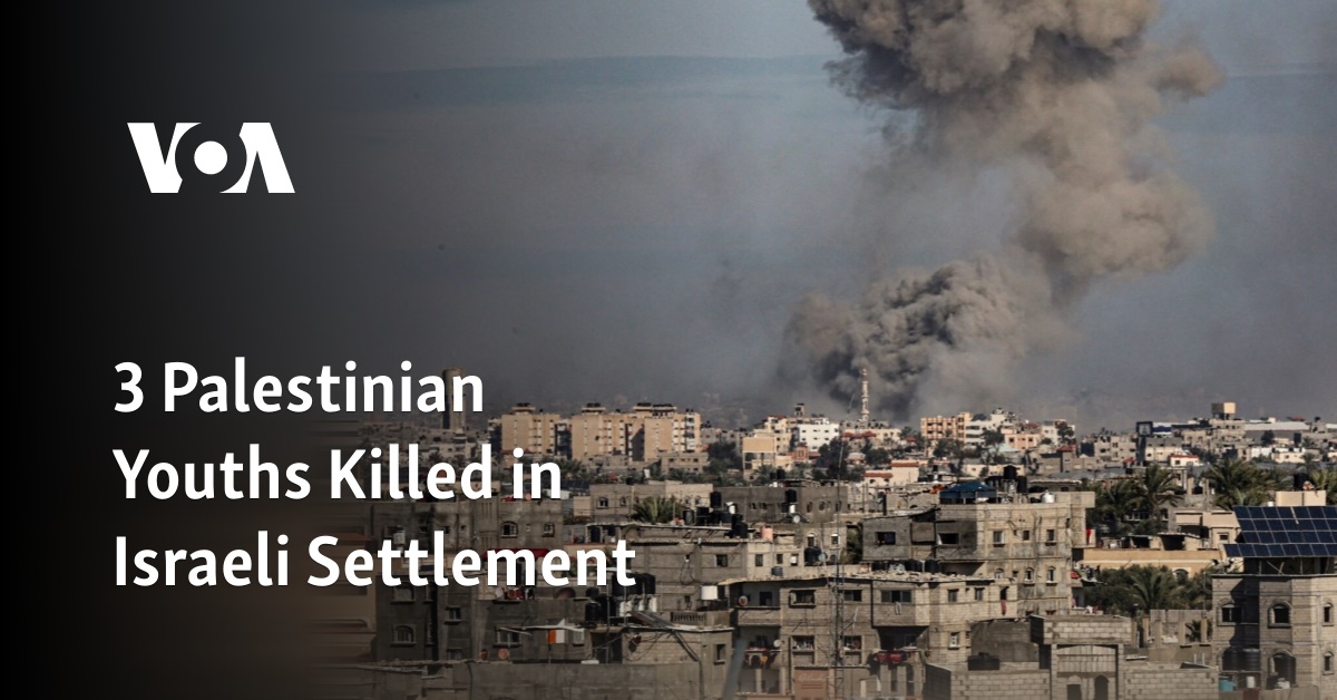 3 Palestinian Youths Killed in Israeli Settlement