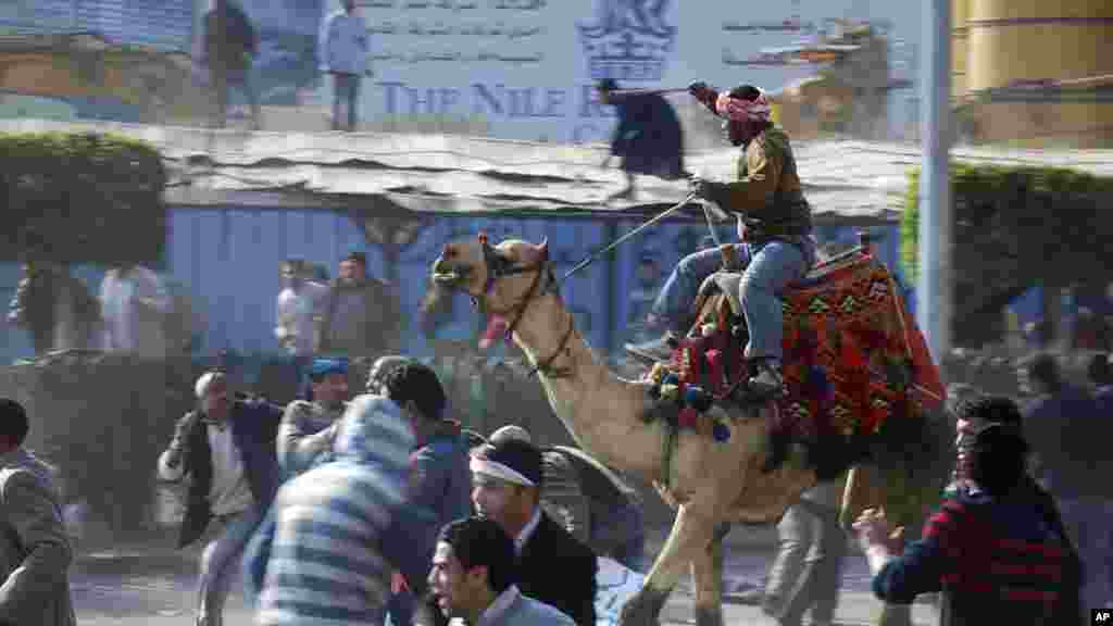 یکی از هواخواهان شتر سوار رئیس جمهور سابق مصر،حسنی مبارک، در حال پراکنده گردن تظاهر کنندگان مخالف او در قاهره. ۲ فبروری ۲۰۱۱