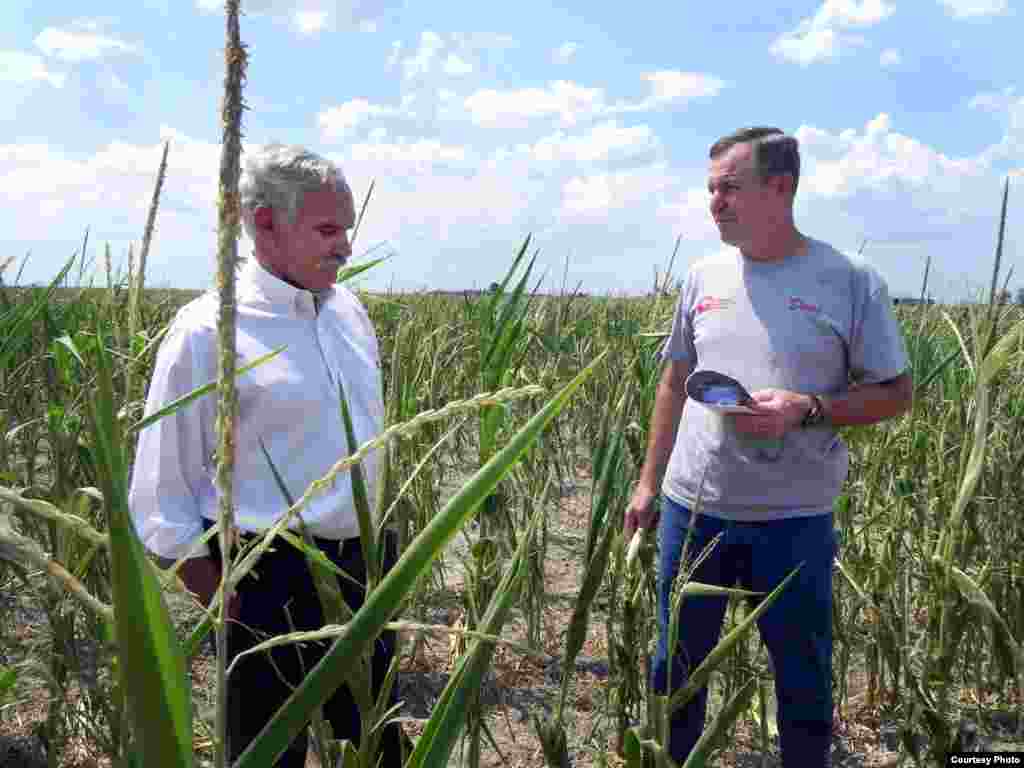 In mid-July, 61 percent of the continental United States was in a moderate to exceptional drought. (USDA/Christina Reed)