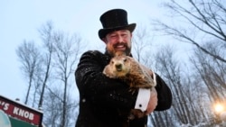Groundhog Club handler A.J. Dereume holds Punxsutawney Phil, the weather prognosticating groundhog, during the 135th celebration of Groundhog Day on Gobbler's Knob in Punxsutawney, Pa., Tuesday, Feb. 2, 2021. (AP Photo/Barry Reeger)