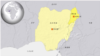 尼日利亚自杀式恐袭已致19人死