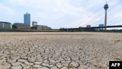 The river bed of the Rhine is dried on August 8, 2018 in Duesseldorf, western Germany, as the heatwave goes on