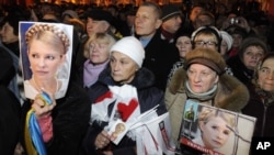 Supporters of the Ukrainian Opposition party hold up photos of the imprisoned former Ukrainian PM, Yulia Tymoshenko, whilst taking part in a rally in Kiev, Ukraine, November 12, 2012.