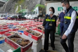 香港海關官員展示反走私行動中截獲的澳洲龍蝦。 （2021年10月15日）