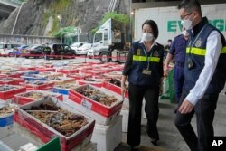 香港海关官员展示反走私行动中截获的澳大利亚龙虾。（2021年10月15日）