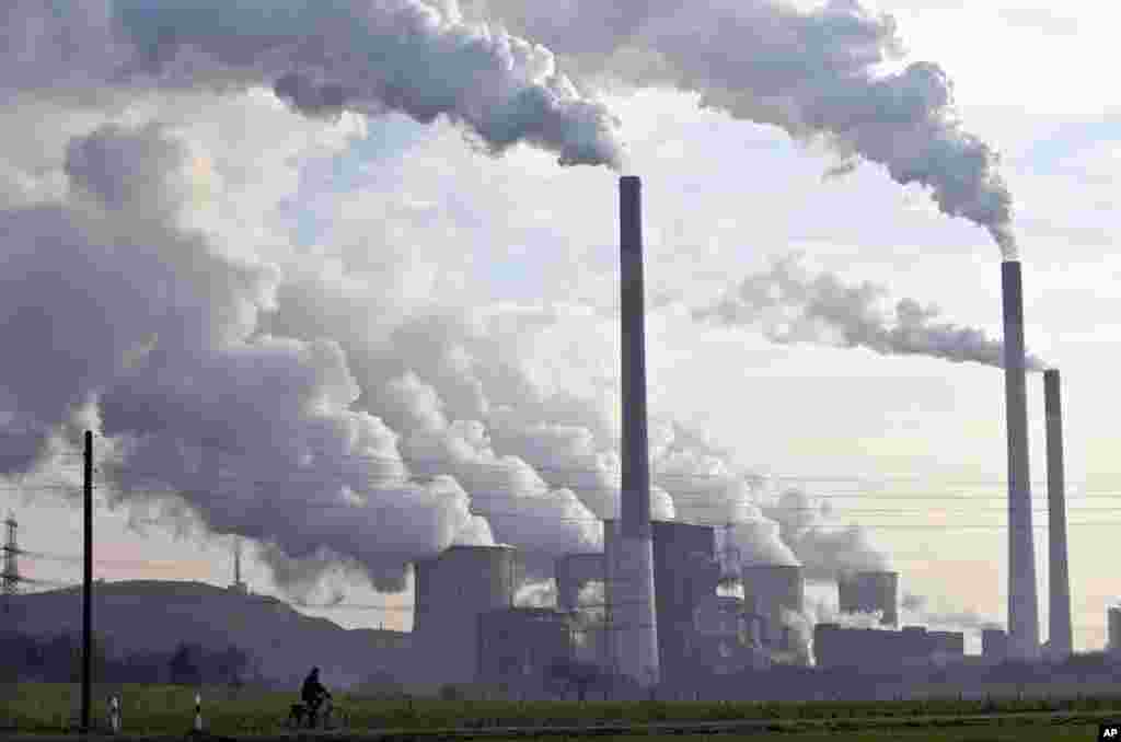 Coal burning power plants are the biggest source of carbon pollution, which is responsible for climate change, which is also driving animal decline.