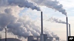 Pollution from coal-burning power plants like these and other sources is among the reasons cited for the onset of a sixth mass extinction period on Earth, according to a new study.