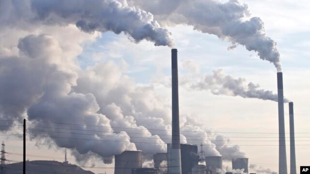 Pollution from coal-burning power plants like these and other sources is among the reasons cited for the onset of a sixth mass extinction period on Earth, according to a new study.