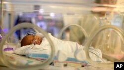 FILE - Melinda Star Guido lies in an incubator at the Los Angeles County-USC Medical Center in Los Angeles, Dec. 14, 2011. At birth, Melinda Star Guido tipped the scales at 9 1/2 ounces. Most babies her size don’t survive, but doctors are preparing to sen