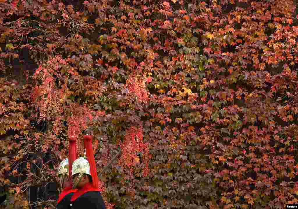 Members of the Household Cavalry ride past autumn foliage in central London, Britain.