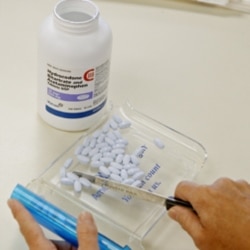 A pharmacy worker in Oklahoma with tablets of hydrocodone, a painkiller