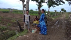 Sutini (baju biru) yang tengah menengok sawah miliknya di dekat PLTU Indramayu, Sabtu (29/2/2020). Foto: Sasmito