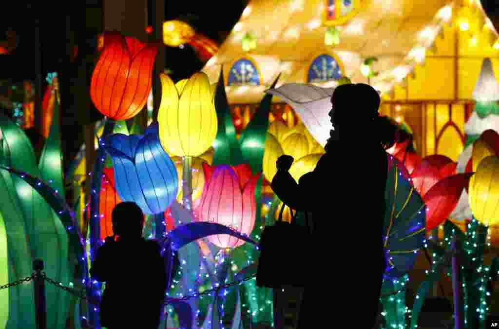 Visitors are silhouetted against the annual yearend illumination &quot;Winter Fantasia&quot; at Toshimaen amusement park in Tokyo, Japan.