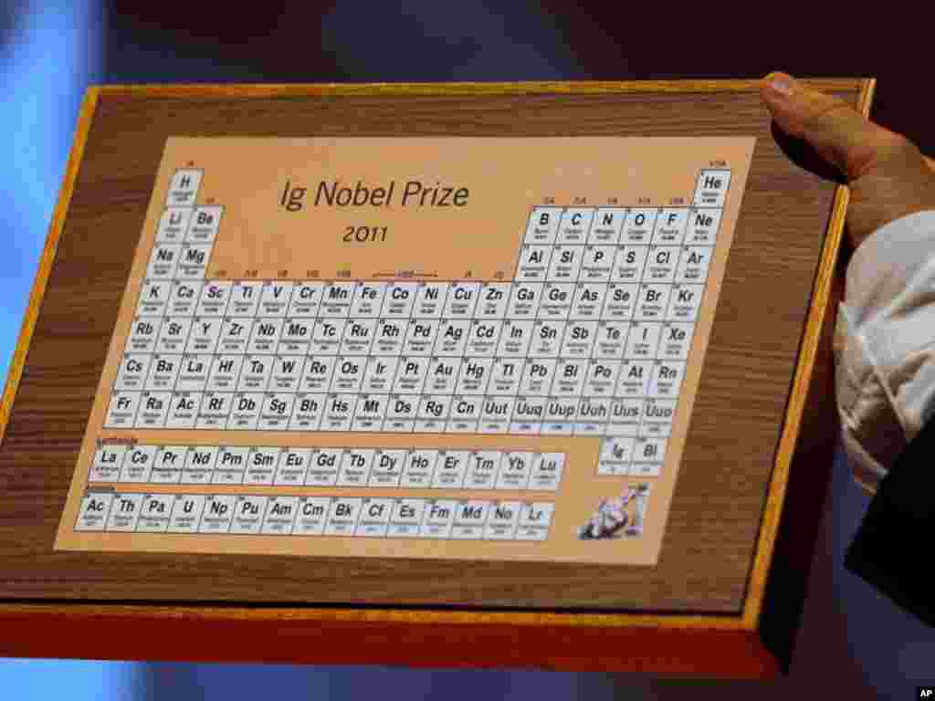 A 2011 Ig Nobel Prize is shown during the 21st annual Ig Nobel prize ceremony at Harvard University in Cambridge, Massachusetts September 29, 2011. The annual prizes, meant to entertain and encourage scientific research, are awarded by the Journal of Impr