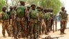 Nigerian Troops Move North as Attacks Continue