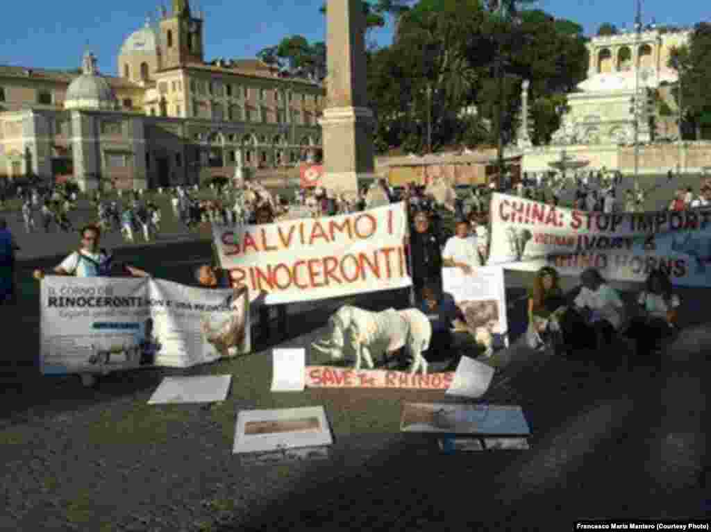 "Salvemos os rinocerontes". Manifestação no Vaticano contra a caça furtiva em Moçambique. Foto de Francesco Maria Mantero.