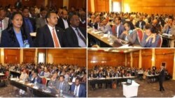 'ኣብ ኢትዮጵያ ኣብ ዩኒቨርስታት ዝካየዱ ጎንፅታት ተሓሲቡሎም በጀት ተሰሊዑሎም ዝካየዱ ተግባራት'ዮም' ፕሮ. ሂሩት ወልደማርያም