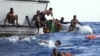 یک تراژدی دیگر در نزدیکی آب‌های ایتالیا: ۶۴ مهاجر در دریا غرق شدند