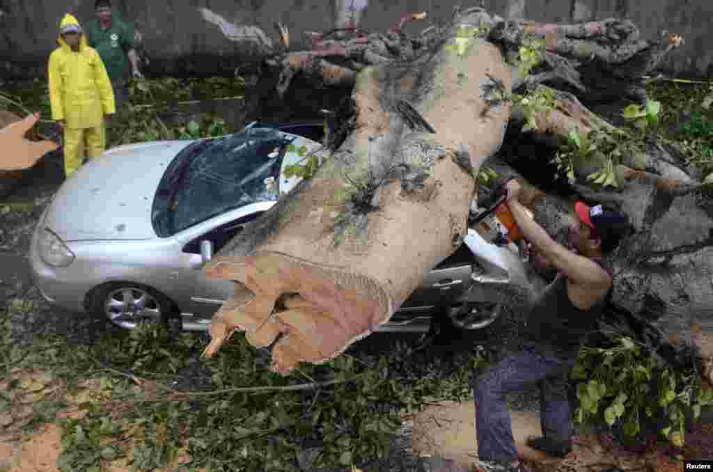 A man uses a chain saw to remove a huge tree that fell on top of a car during the onslaught of Typhoon Rammasun that hit Makati City in Manila, July 16, 2014.