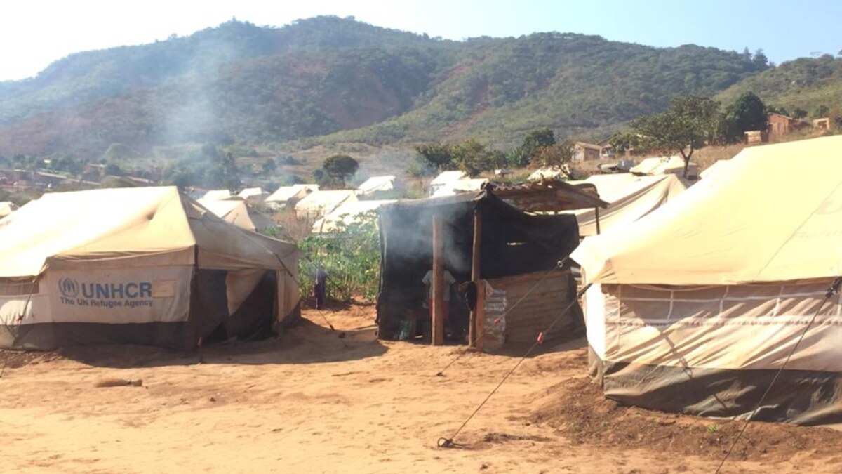 Zimbabwe Monitoring Depression Likely to Develop Into Tropical Chalane That May Hit Hard Eastern Areas - Vimarsana News