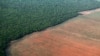 Hutan hujan Amazon (kiri), berbatasan dengan lahan gundul yang disiapkan untuk penanaman kedelai, terlihat dalam foto udara yang diambil di atas negara bagian Mato Grosso di Brazil barat. (Foto: Reuters)