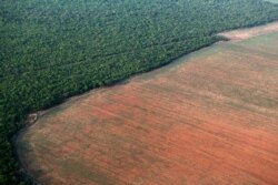 Hutan hujan Amazon (kiri), berbatasan dengan lahan gundul yang disiapkan untuk penanaman kedelai, digambarkan dalam foto udara yang diambil di negara bagian Mato Grosso di Brazil barat, 4 Oktober 2015. (Foto: Reuters)