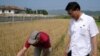 [북한 식량난 특집 II] “북한, 농업개혁으로 식량난 타개해야”